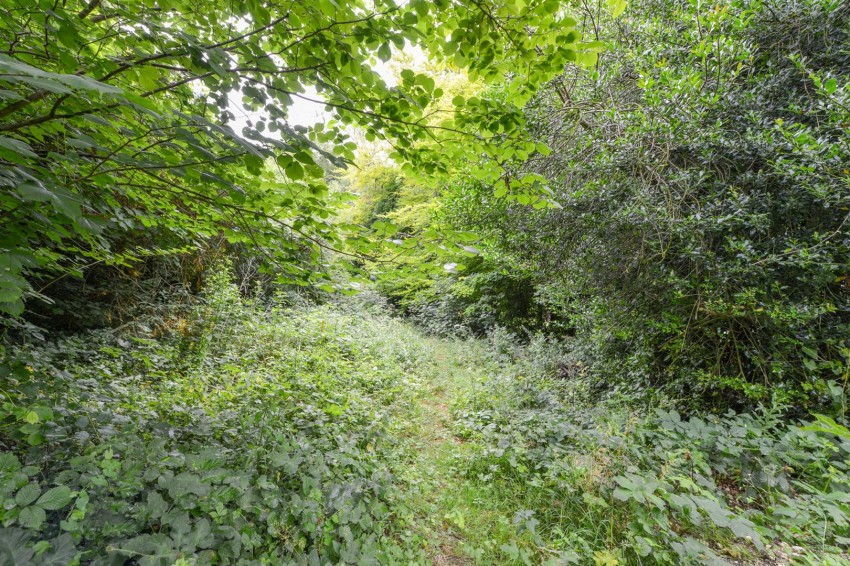 Images for The Avenue, Temple Ewell, Dover