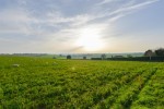 Images for Crossways, Ripple, Deal