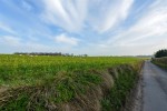 Images for Crossways, Ripple, Deal