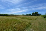 Images for Pommeus Lane, Ripple, Deal