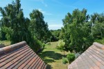 Images for Ash, Canterbury