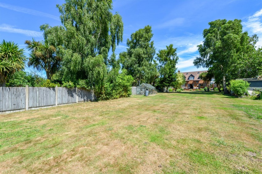 Images for Ash, Canterbury