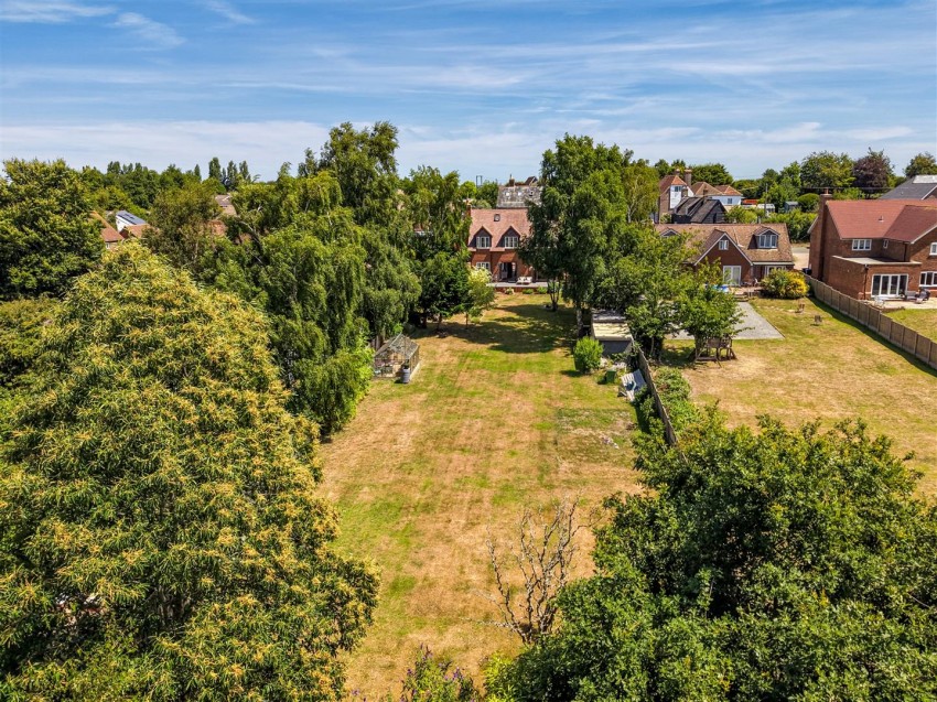 Images for Ash, Canterbury